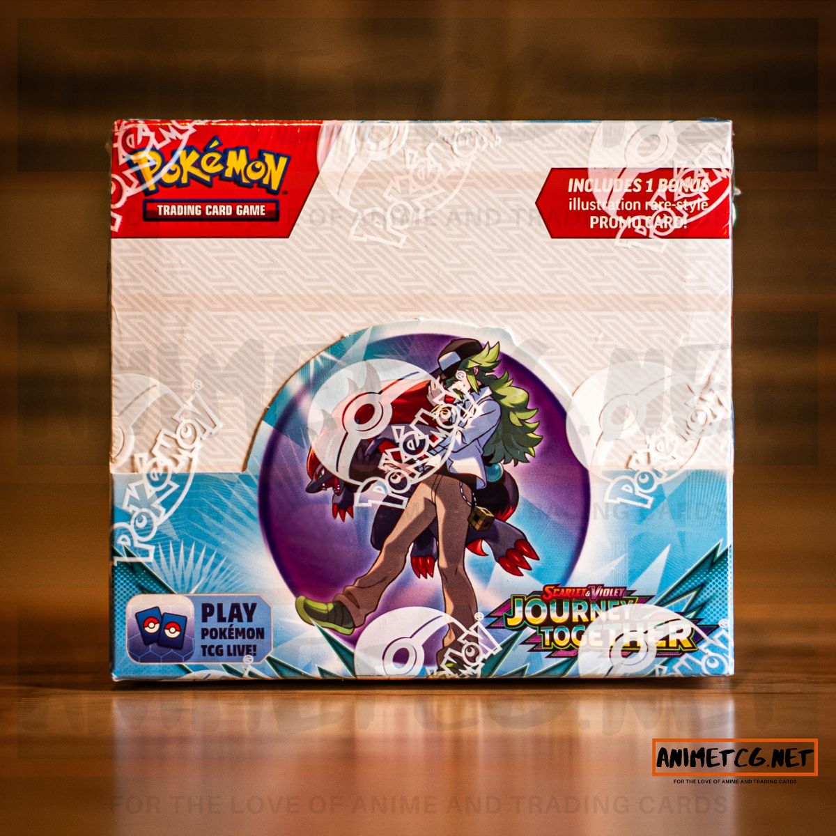 Pokemon Trading Card Game: Journey Together Enhanced Booster Box Anime TCG.net Pokemon Trading Card Game: Journey Together Enhanced Booster Box Anime TCG.net